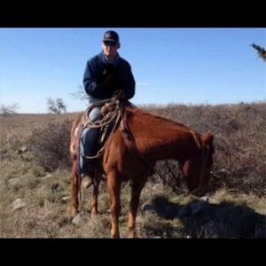 Meet your Posher, Cameron